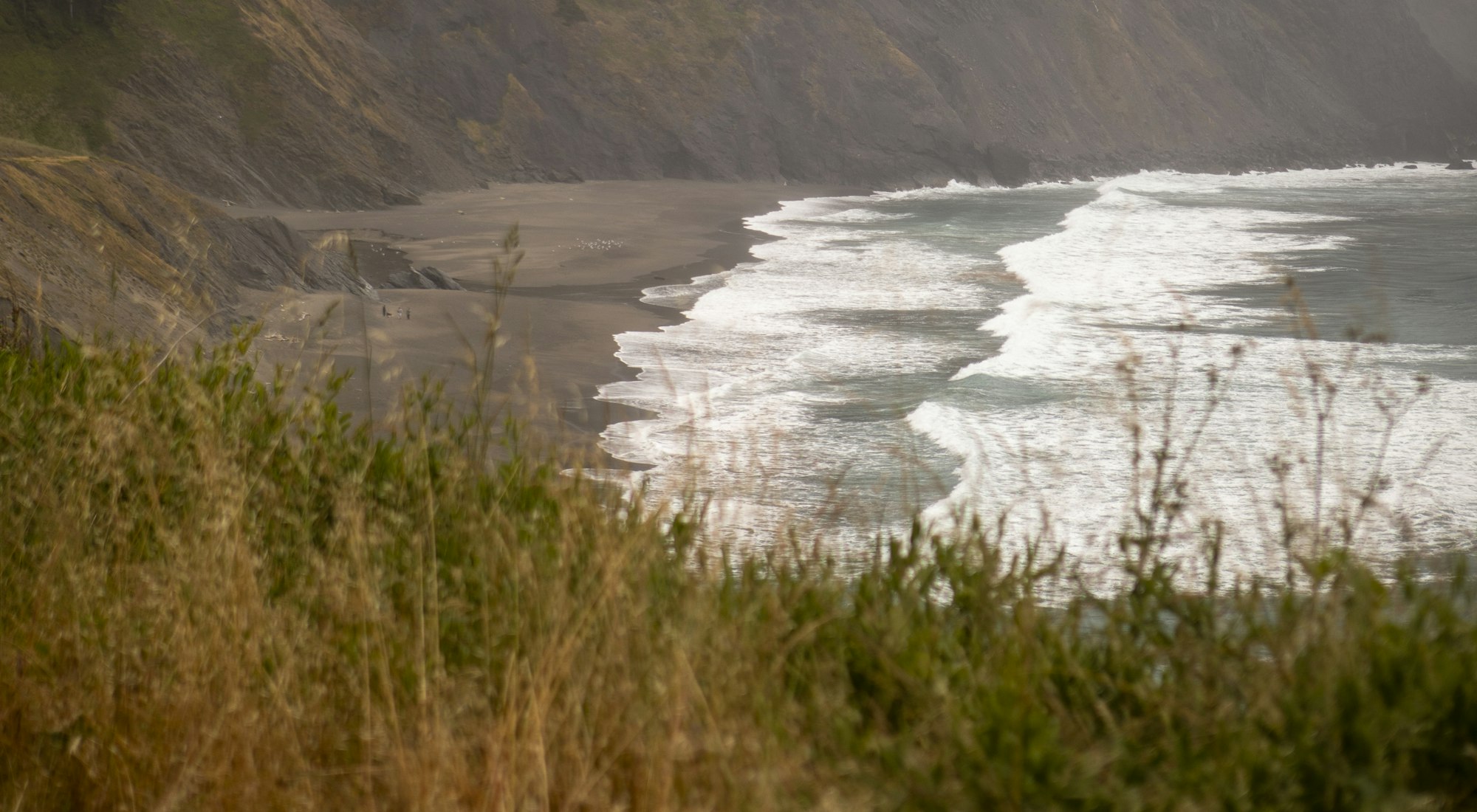 Looking down through coastal grasses to waves breaking along the bay
